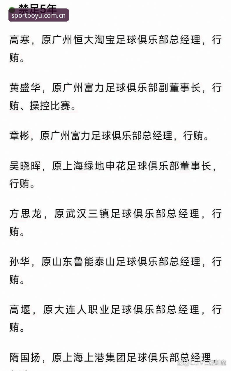 足协禁足名单深度对比分析：终身禁足vs五年禁足，博鱼体育用户如何看懂这场行业地震？